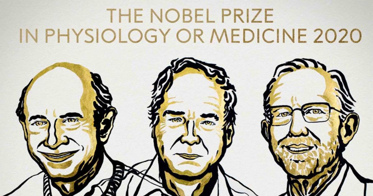 These three scientists conferred with Nobel Prize for Medicine 2020